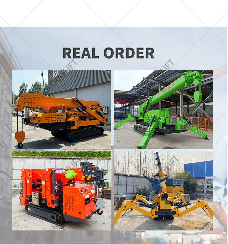 mini crawler crane 14